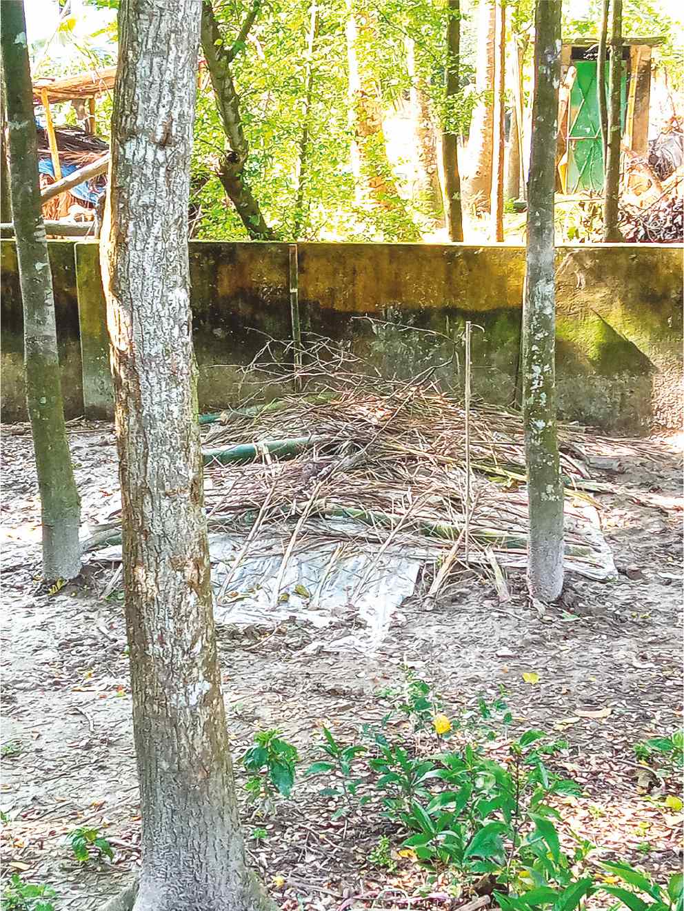 Image of জাহিদ হোসেন রাব্বি